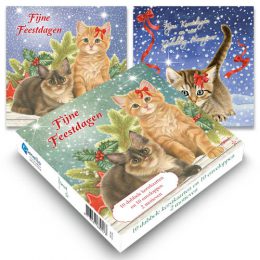 Franciens Katten kerstboxje KITTENS MET KERSTTAK EN IN DE SNEEUW