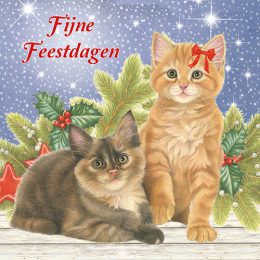 Franciens Katten kerstboxje KITTENS MET KERSTTAK EN IN DE SNEEUW