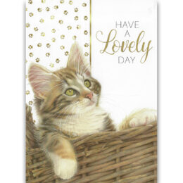 Franciens Katten wenskaart HAVE A LOVELY DAY