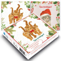 Franciens Katten kerstboxje Kat met kerstmuts – kat met strikje