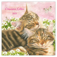 Franciens Katten kalender (PLENTY GIFTS) 2025