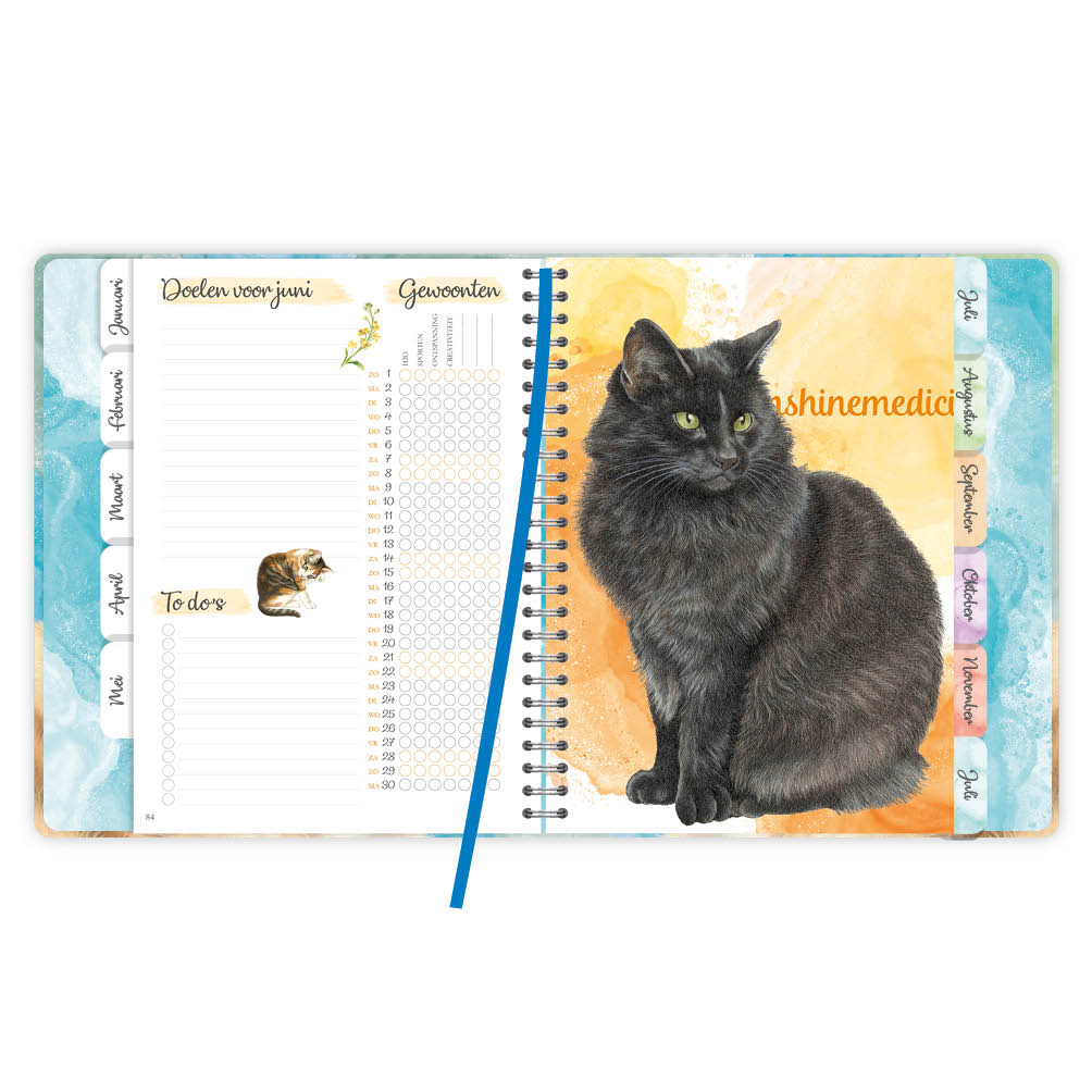 Franciens Katten Luxe weekly planner SJORS 2025