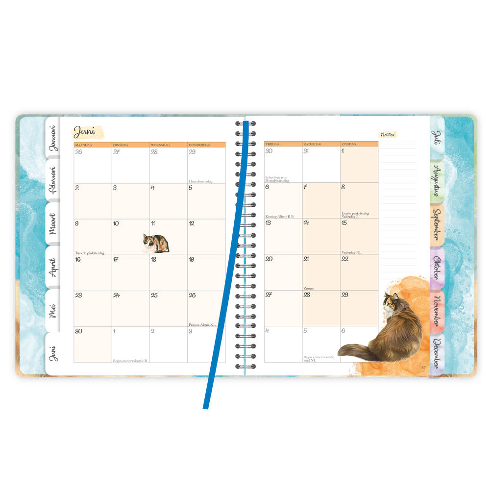 Franciens Katten Luxe weekly planner SJORS 2025